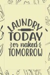 Book cover for Laundry Today Or Naked Tomorrow