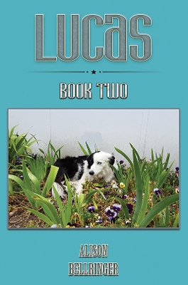 Book cover for Lucas