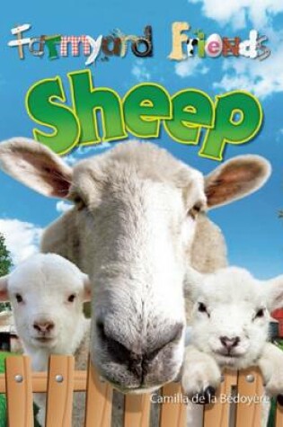 Cover of Sheep