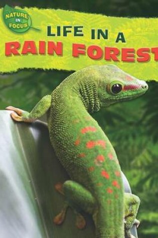 Cover of Life in a Rain Forest