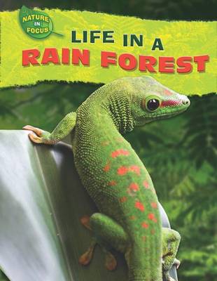 Book cover for Life in a Rain Forest