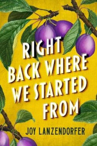 Cover of Right Back Where We Started from