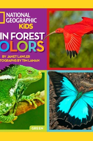 Cover of Rain Forest Colors