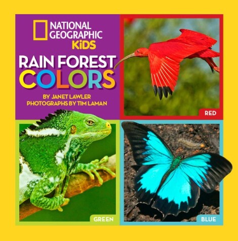 Book cover for Rain Forest Colors
