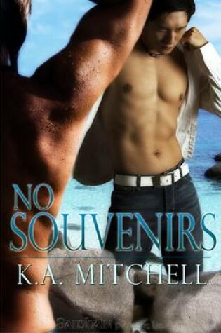 Cover of No Souvenirs