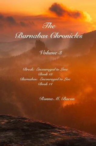 Cover of The Barnabas Chronicles Volume 3