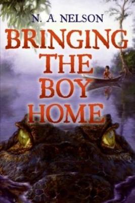 Book cover for Bringing the Boy Home