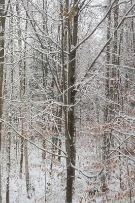 Cover of 2019 Weekly Planner Winter Snow Covered Bare Tree Branches 134 Pages