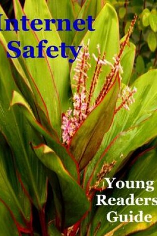 Cover of Internet Safety Young Readers' Guide