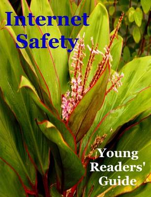 Book cover for Internet Safety Young Readers' Guide