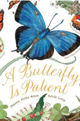 Cover of Butterfly Is Patient