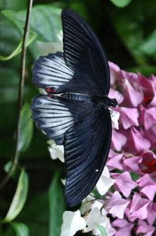 Cover of Great Mormon Butterfly on Flowers, for the Love of Nature