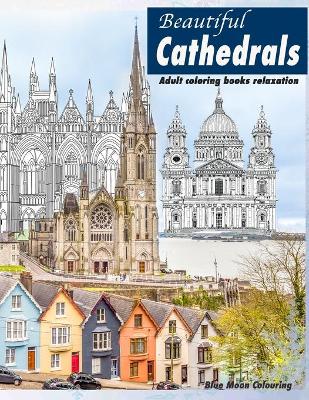 Book cover for Beautiful Cathedrals ADULT COLORING books relaxation