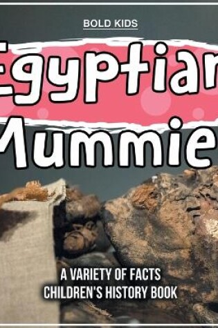 Cover of Egyptian Mummies A Different Look At Them Children's History Book