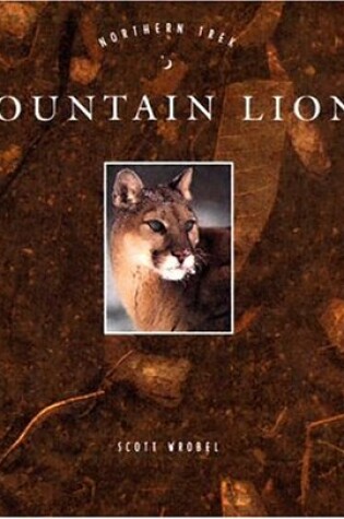 Cover of Mountain Lions