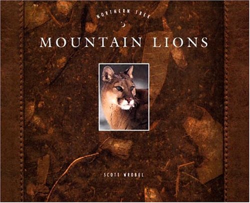 Book cover for Mountain Lions