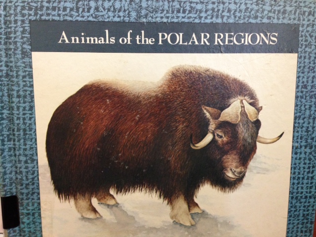 Cover of Animals of the Polar Regions