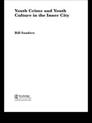 Cover of Youth Crime and Youth Culture in the Inner City