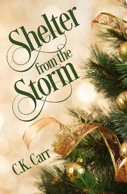 Book cover for Shelter from the Storm