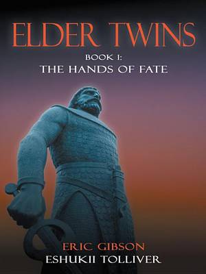 Book cover for Elder Twins