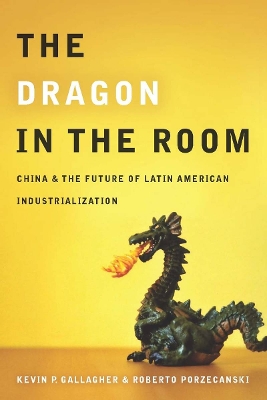 Book cover for The Dragon in the Room