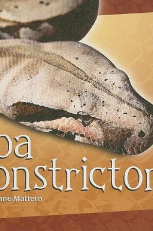 Cover of Boa Constrictors