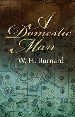 Book cover for A Domestic Man