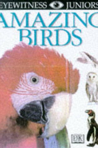 Cover of Eyewitness Juniors:  Amazing Birds