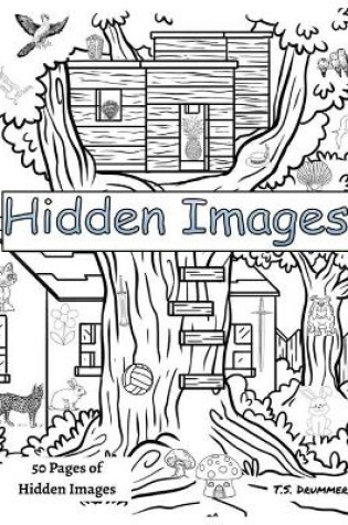 Cover of Hidden Images