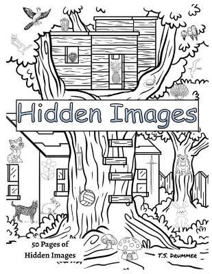 Book cover for Hidden Images