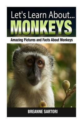 Book cover for Let's Learn About...Monkeys