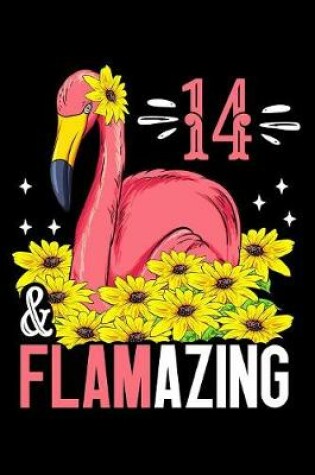 Cover of 14 & Flamazing