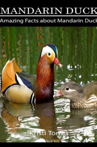 Cover of Amazing Facts about Mandarin Duck