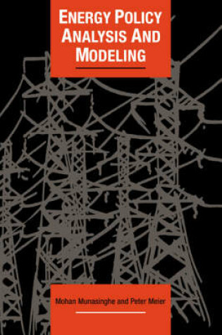 Cover of Energy Policy Analysis and Modelling