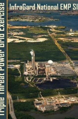 Cover of Triple Threat Power Grid Exercise