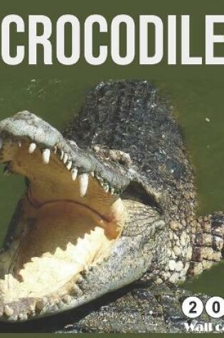 Cover of Crocodile 2021 Calendar