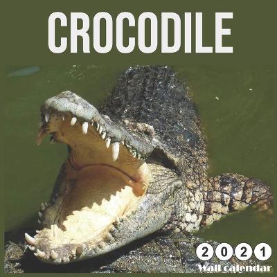 Book cover for Crocodile 2021 Calendar