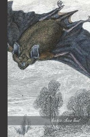 Cover of Horse shoe Bat