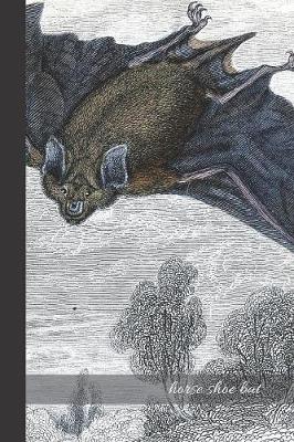 Book cover for Horse shoe Bat