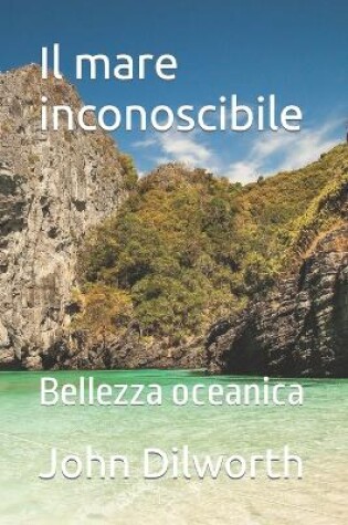 Cover of Il mare inconoscibile