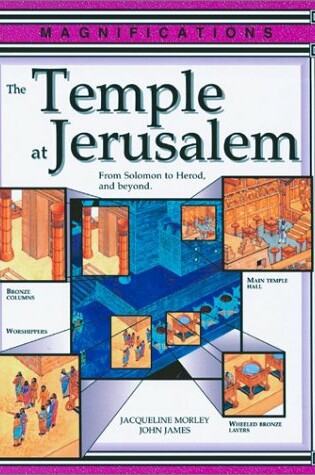 Cover of The Temple at Jerusalem
