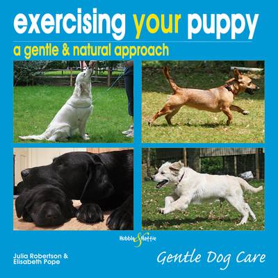 Book cover for Exercising Your Puppy