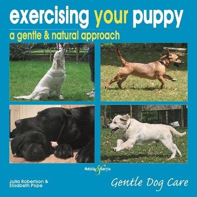 Book cover for Exercising Your Puppy