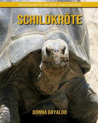 Book cover for Schildkröte