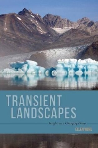 Cover of Transient Landscapes