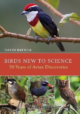 Book cover for Birds New to Science