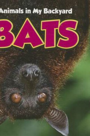 Cover of Bats