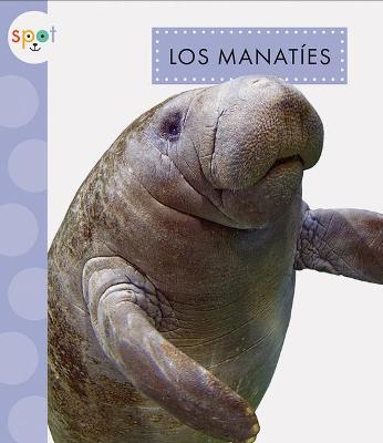 Book cover for Los Manatíes