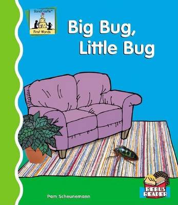 Book cover for Big Bug, Little Bug