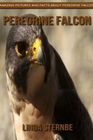 Cover of Peregrine Falcon